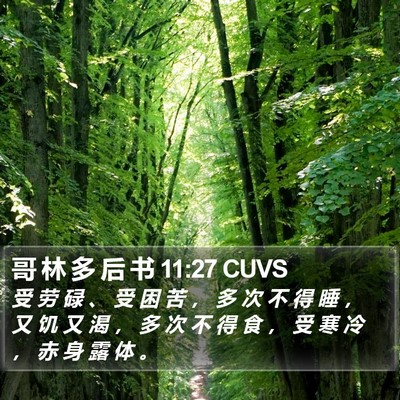 哥 林 多 后 书 11:27 CUVS Bible Verse Image