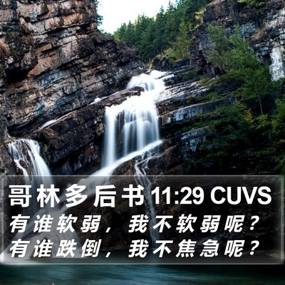 哥 林 多 后 书 11:29 CUVS Bible Verse Image