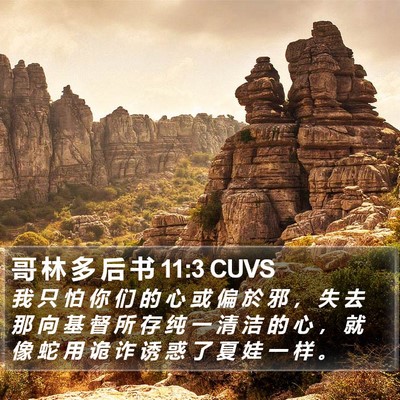 哥 林 多 后 书 11:3 CUVS Bible Verse Image