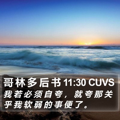 哥 林 多 后 书 11:30 CUVS Bible Verse Image