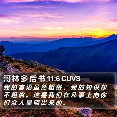 哥 林 多 后 书 11:6 CUVS Bible Verse Image