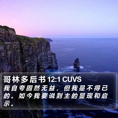 哥 林 多 后 书 12:1 CUVS Bible Verse Image