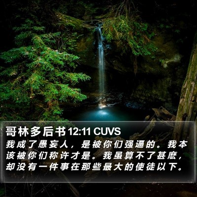哥 林 多 后 书 12:11 CUVS Bible Verse Image