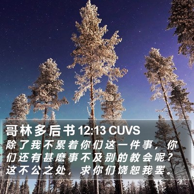 哥 林 多 后 书 12:13 CUVS Bible Verse Image