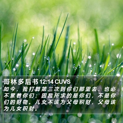 哥 林 多 后 书 12:14 CUVS Bible Verse Image