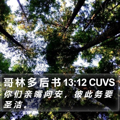 哥 林 多 后 书 13:12 CUVS Bible Verse Image