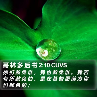 哥 林 多 后 书 2:10 CUVS Bible Verse Image