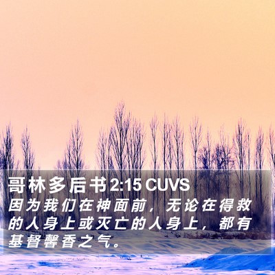 哥 林 多 后 书 2:15 CUVS Bible Verse Image