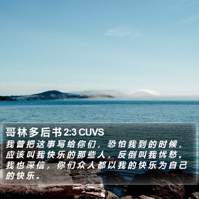 哥 林 多 后 书 2:3 CUVS Bible Verse Image