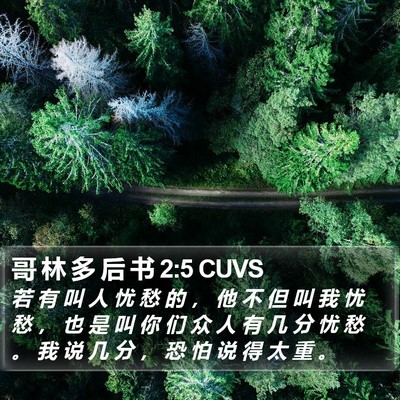 哥 林 多 后 书 2:5 CUVS Bible Verse Image