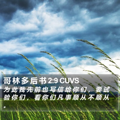 哥 林 多 后 书 2:9 CUVS Bible Verse Image