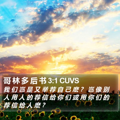哥 林 多 后 书 3:1 CUVS Bible Verse Image