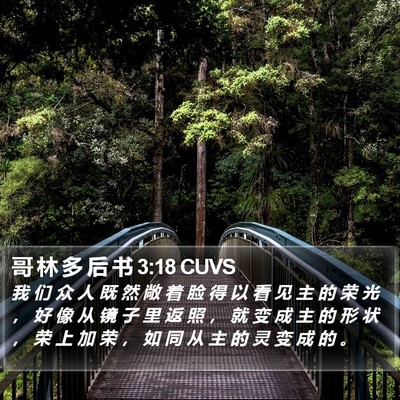 哥 林 多 后 书 3:18 CUVS Bible Verse Image