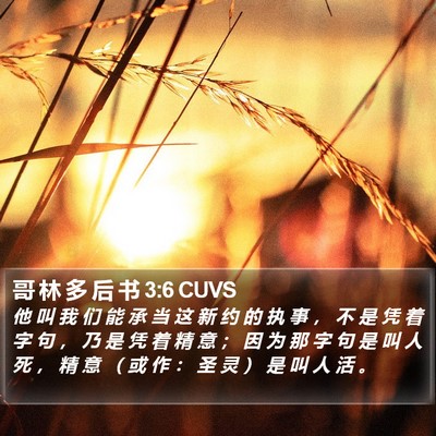 哥 林 多 后 书 3:6 CUVS Bible Verse Image