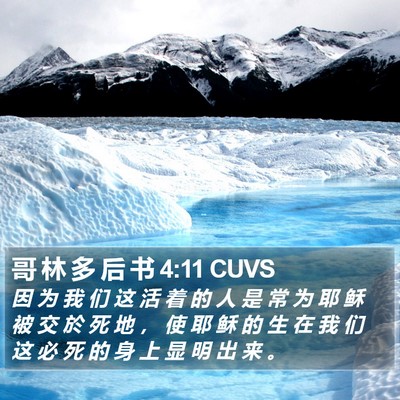 哥 林 多 后 书 4:11 CUVS Bible Verse Image