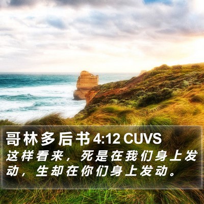 哥 林 多 后 书 4:12 CUVS Bible Verse Image