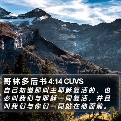 哥 林 多 后 书 4:14 CUVS Bible Verse Image