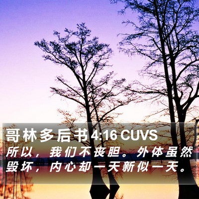 哥 林 多 后 书 4:16 CUVS Bible Verse Image