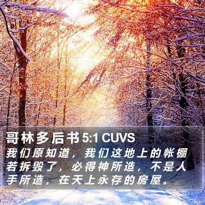 哥 林 多 后 书 5:1 CUVS Bible Verse Image