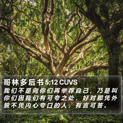 哥 林 多 后 书 5:12 CUVS Bible Verse Image