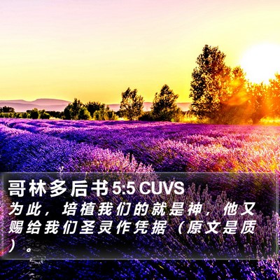 哥 林 多 后 书 5:5 CUVS Bible Verse Image