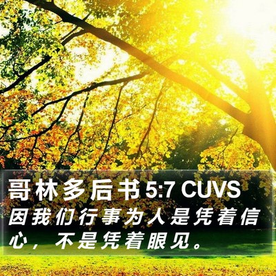 哥 林 多 后 书 5:7 CUVS Bible Verse Image