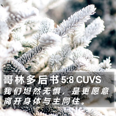 哥 林 多 后 书 5:8 CUVS Bible Verse Image