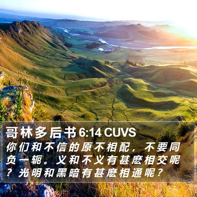 哥 林 多 后 书 6:14 CUVS Bible Verse Image
