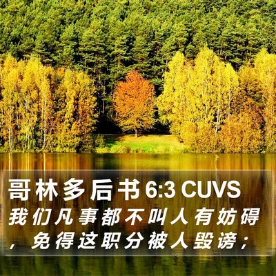 哥 林 多 后 书 6:3 CUVS Bible Verse Image