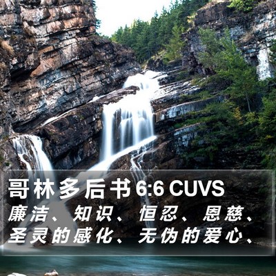 哥 林 多 后 书 6:6 CUVS Bible Verse Image