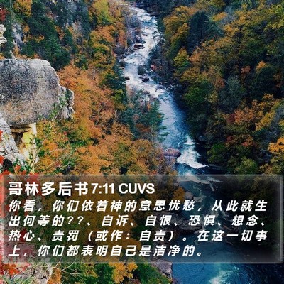 哥 林 多 后 书 7:11 CUVS Bible Verse Image