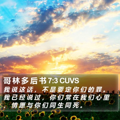 哥 林 多 后 书 7:3 CUVS Bible Verse Image