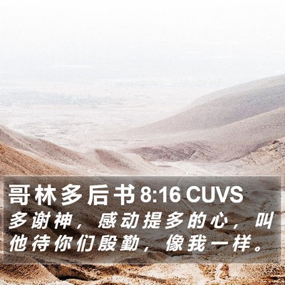 哥 林 多 后 书 8:16 CUVS Bible Verse Image