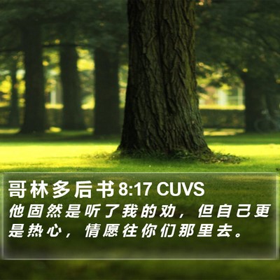 哥 林 多 后 书 8:17 CUVS Bible Verse Image