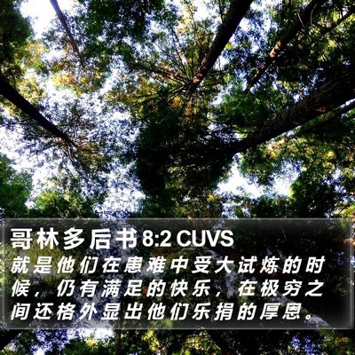 哥 林 多 后 书 8:2 CUVS Bible Verse Image