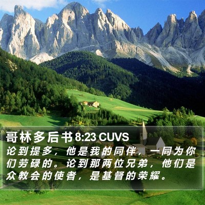 哥 林 多 后 书 8:23 CUVS Bible Verse Image