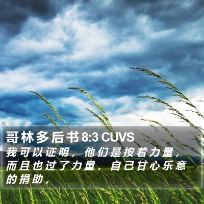 哥 林 多 后 书 8:3 CUVS Bible Verse Image