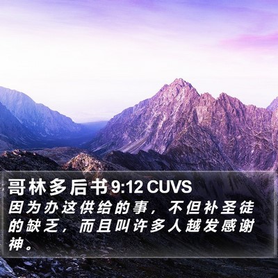 哥 林 多 后 书 9:12 CUVS Bible Verse Image