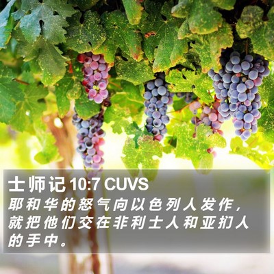士 师 记 10:7 CUVS Bible Verse Image