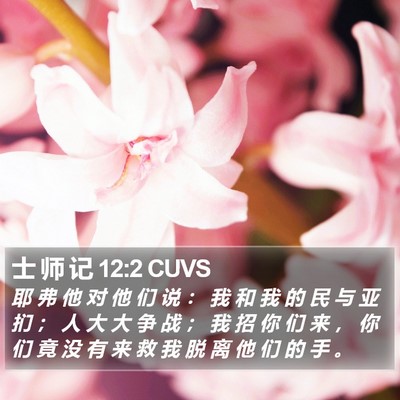 士 师 记 12:2 CUVS Bible Verse Image