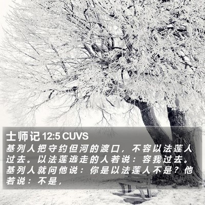 士 师 记 12:5 CUVS Bible Verse Image