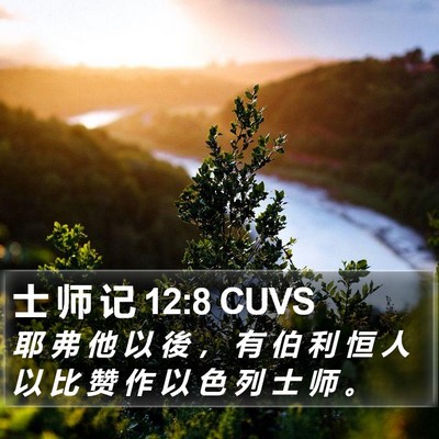 士 师 记 12:8 CUVS Bible Verse Image