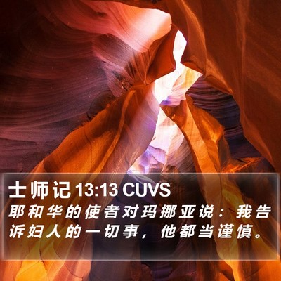 士 师 记 13:13 CUVS Bible Verse Image