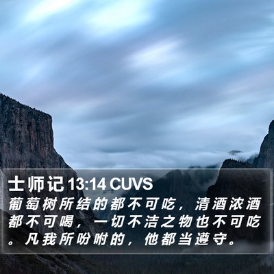 士 师 记 13:14 CUVS Bible Verse Image