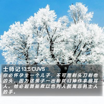 士 师 记 13:5 CUVS Bible Verse Image