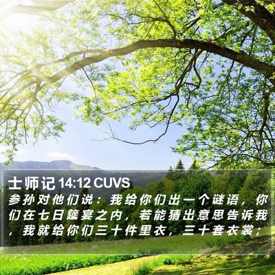 士 师 记 14:12 CUVS Bible Verse Image