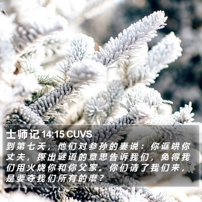 士 师 记 14:15 CUVS Bible Verse Image