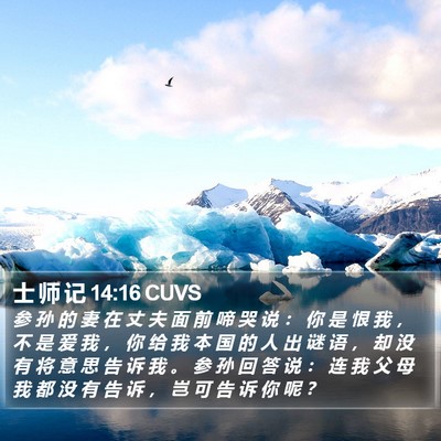 士 师 记 14:16 CUVS Bible Verse Image