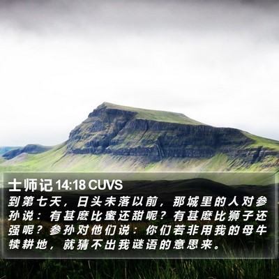 士 师 记 14:18 CUVS Bible Verse Image