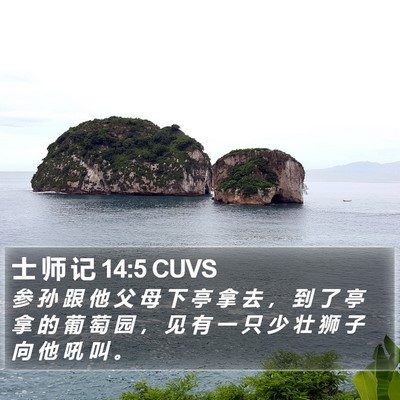 士 师 记 14:5 CUVS Bible Verse Image